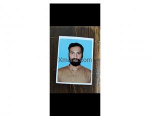 Ali Hamza